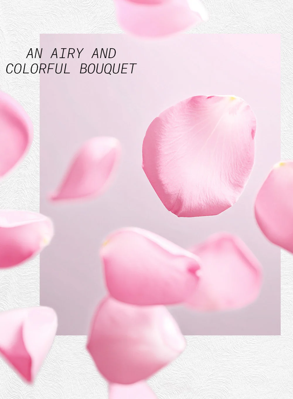 CŒUR DE PÉTALES - Image 3
