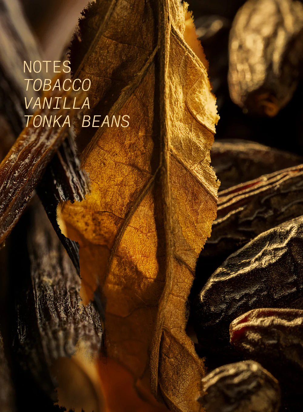 TOBACCO VOLUTE - Image 3